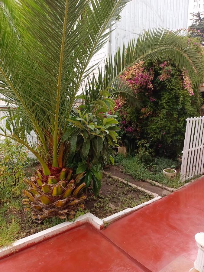 Hotel Paseo Valle Виня дел Мар Екстериор снимка